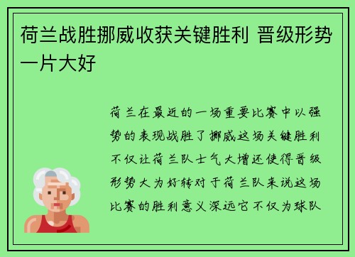 荷兰战胜挪威收获关键胜利 晋级形势一片大好