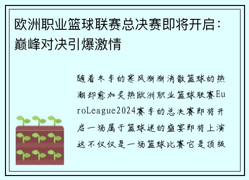 欧洲职业篮球联赛总决赛即将开启：巅峰对决引爆激情