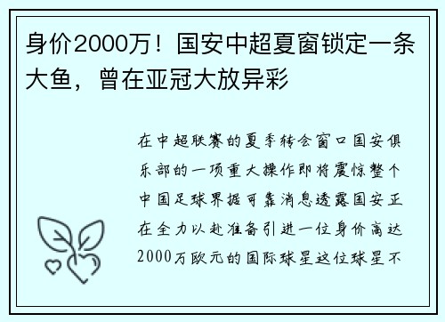 身价2000万！国安中超夏窗锁定一条大鱼，曾在亚冠大放异彩